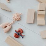 the new art and science of teaching pdf